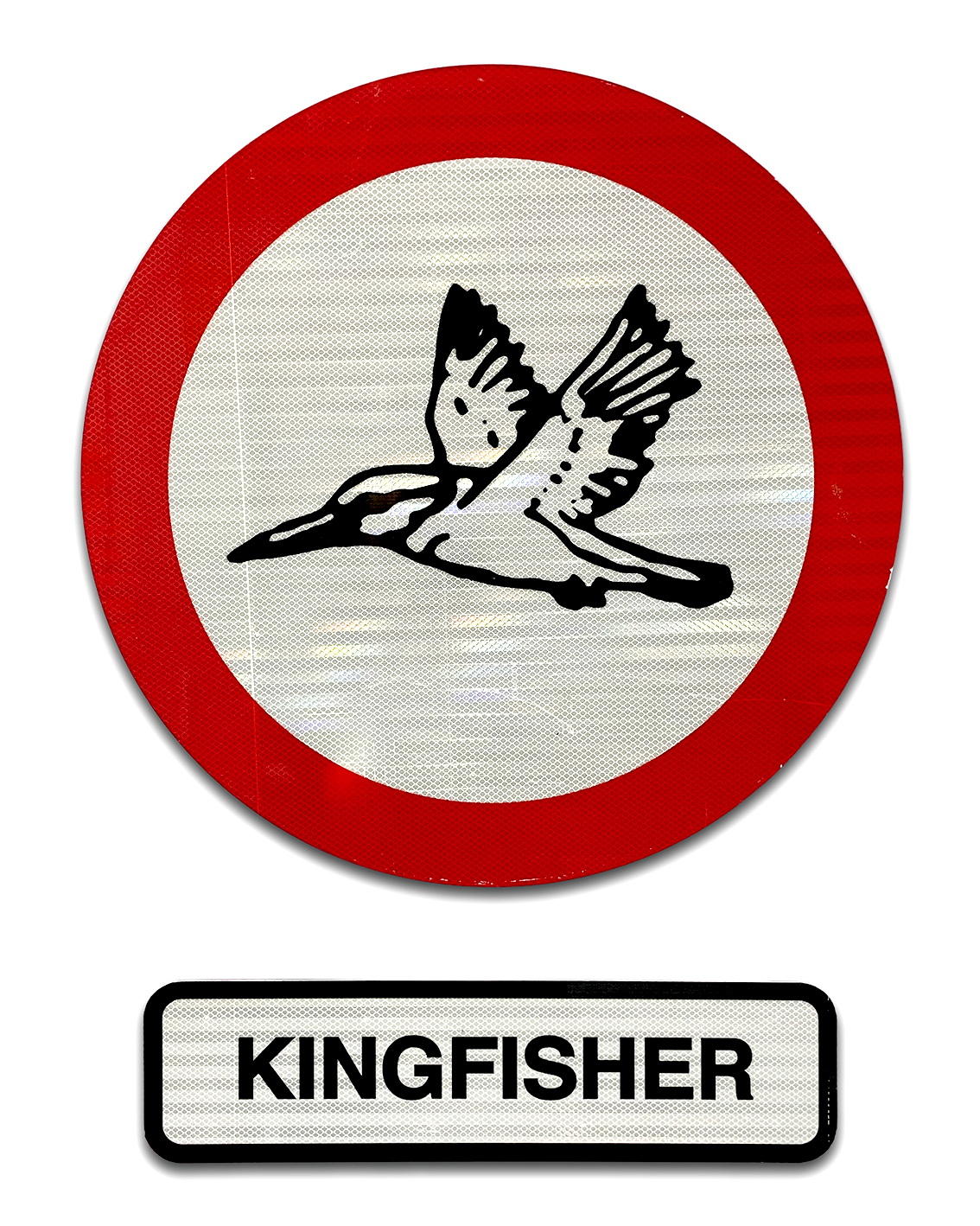 Kingfisher